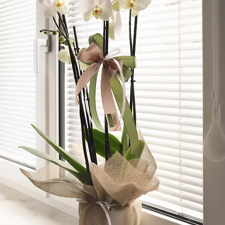 Il Rifugio Urbano 3*